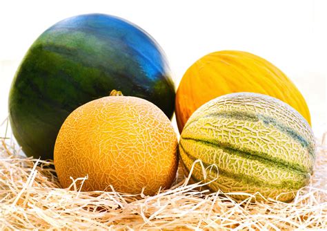 7 Melons .